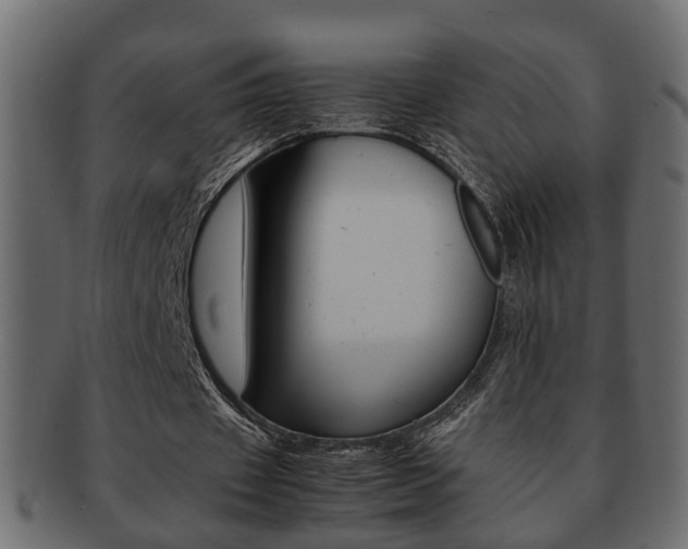 X0000092310433200709141034