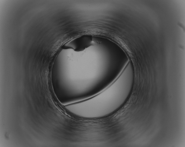 X0000092310434200709141034