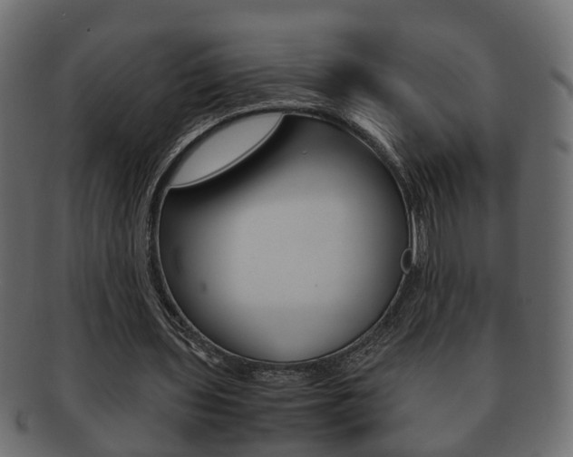 X0000092310435200709141034