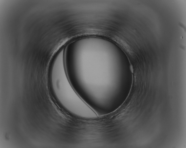 X0000092310436200709141034