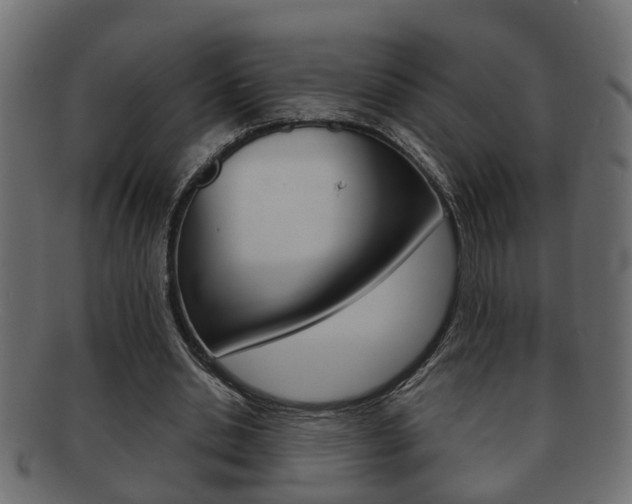 X0000092310438200709141034