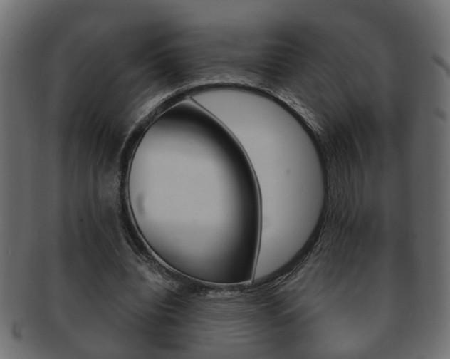 X0000092310440200709141034
