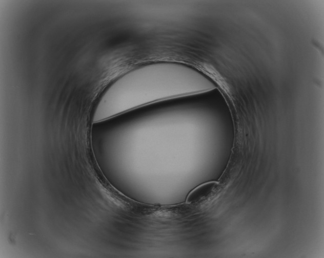 X0000092310441200709141034