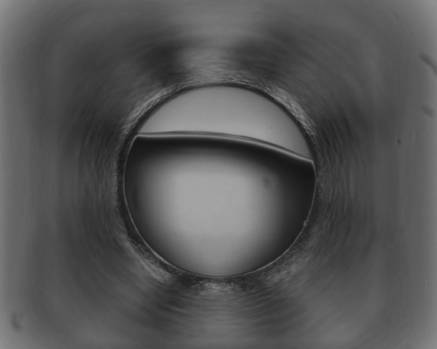 X0000092310442200709141034