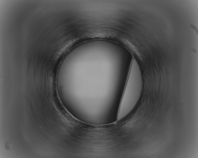X0000092310444200709141034