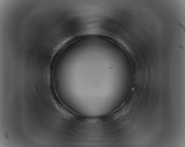 X0000092310446200709141034
