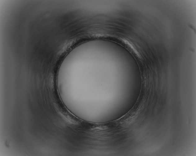 X0000092310447200709141034