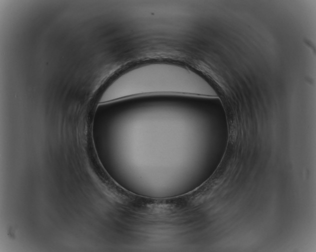 X0000092310448200709141034
