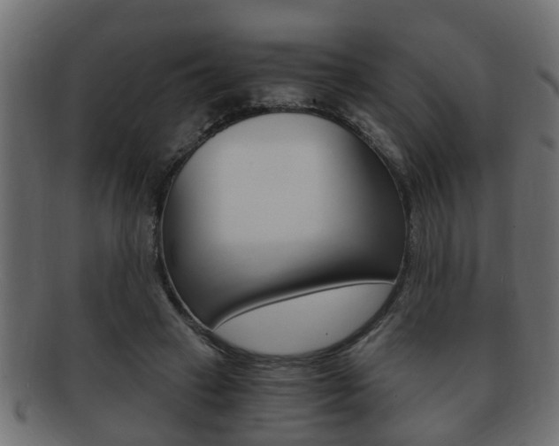 X0000092310449200709141034