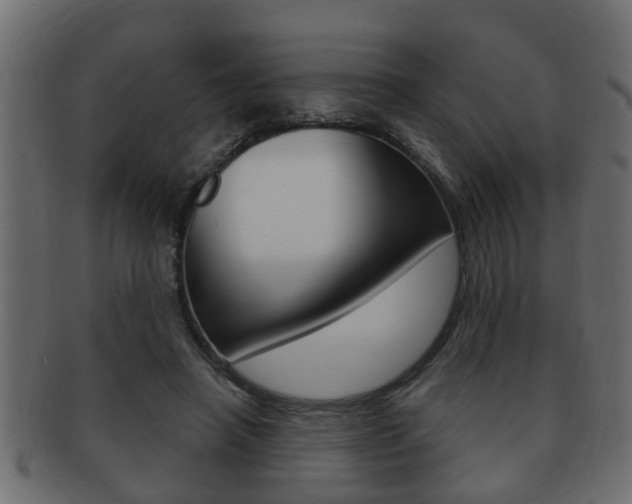 X0000092310450200709141034