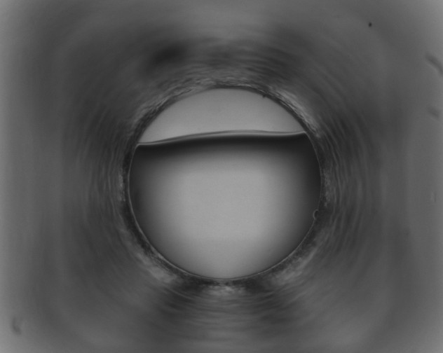 X0000092310453200709141034