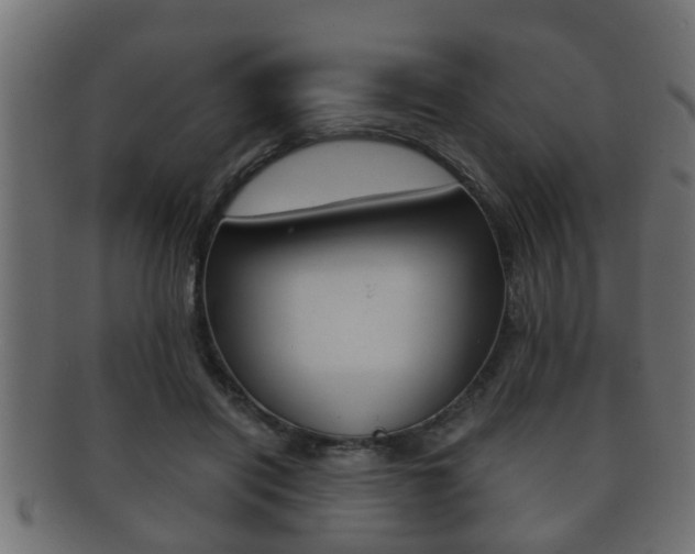 X0000092310454200709141034