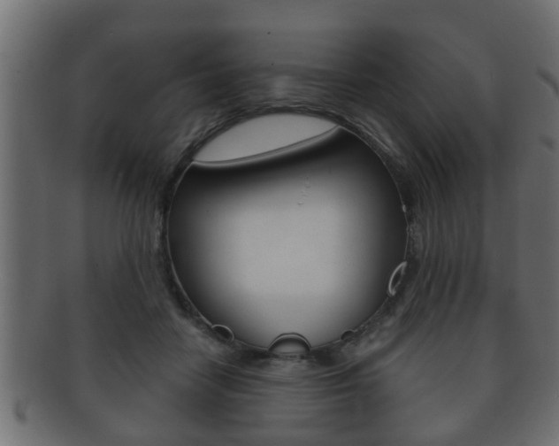 X0000092310458200709141034