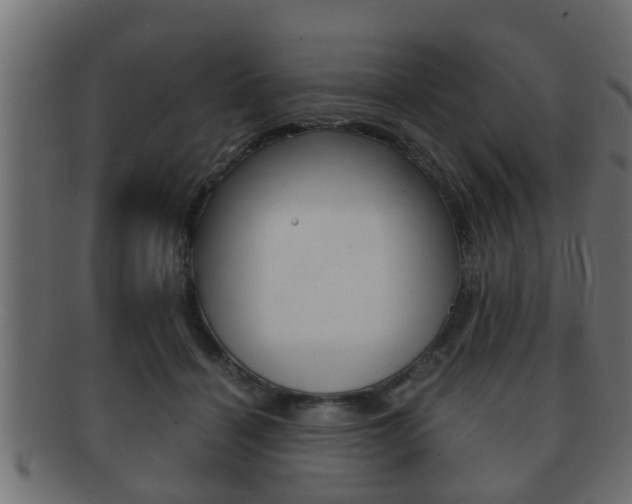 X0000092310460200709141034