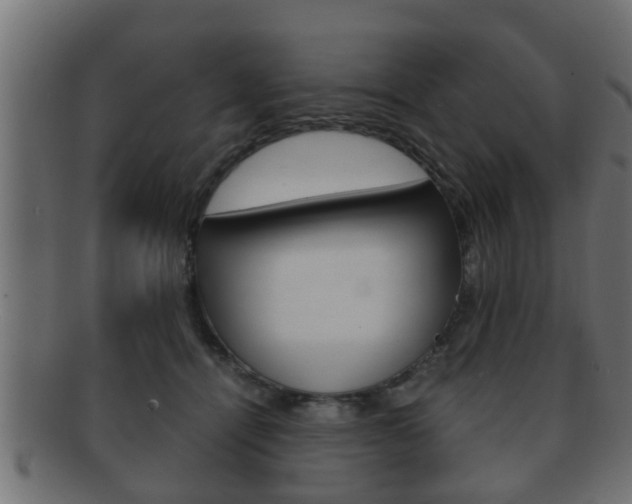 X0000092310464200709141034