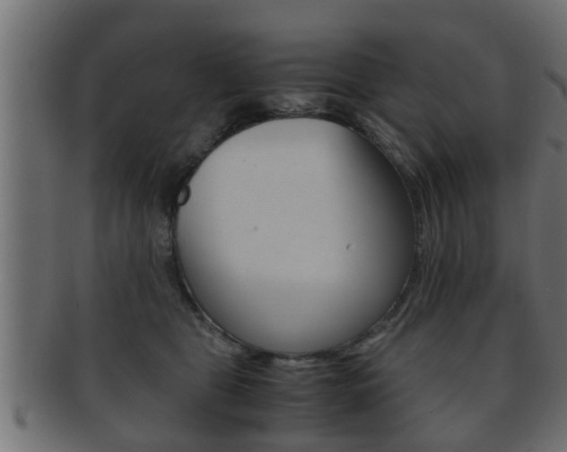 X0000092310469200709141034