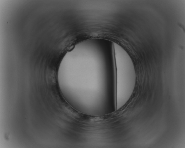 X0000092310470200709141034