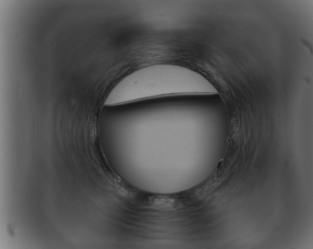 X0000092310471200709141034