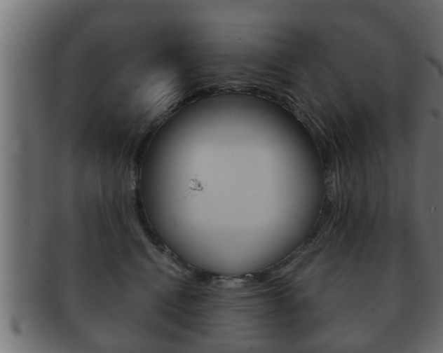 X0000092310472200709141034