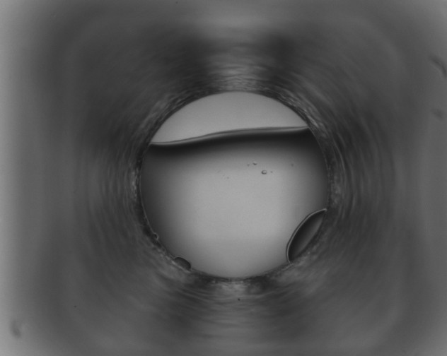 X0000092310473200709141034