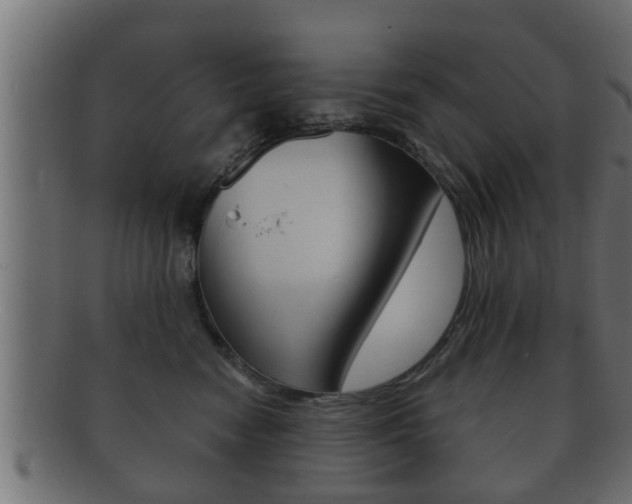X0000092310474200709141034