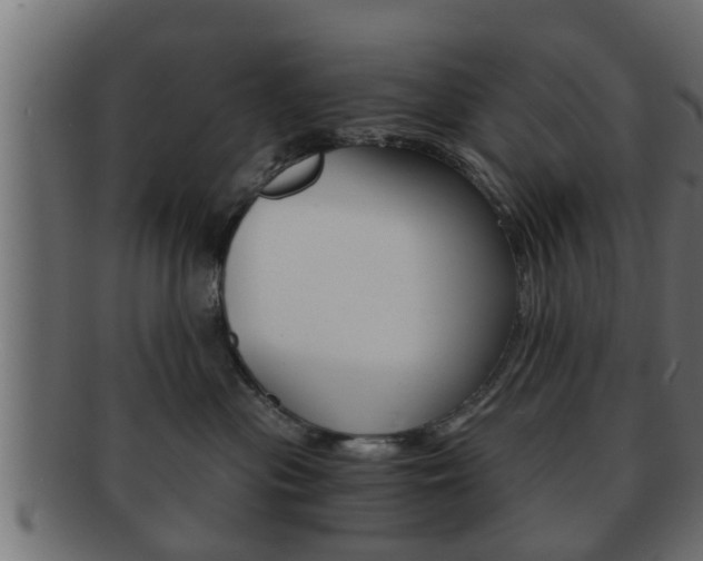 X0000092310477200709141034