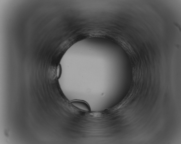 X0000092310478200709141034