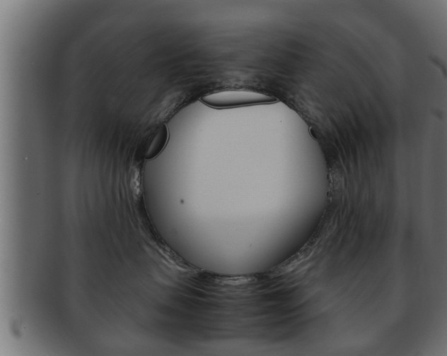 X0000092310479200709141034