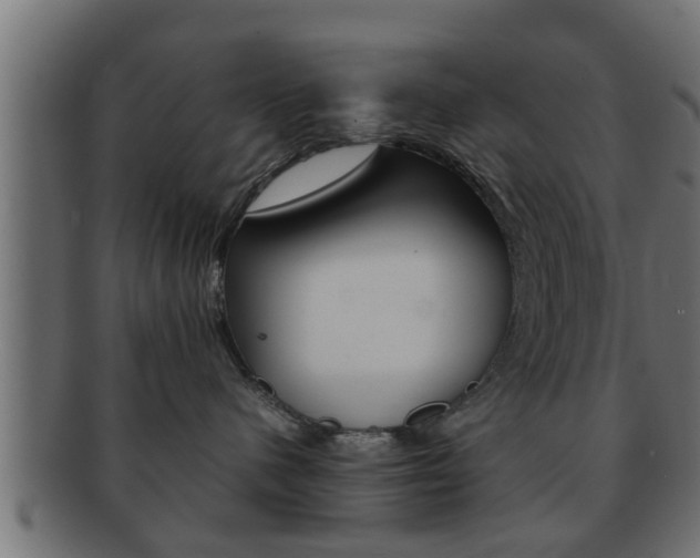 X0000092310480200709141034