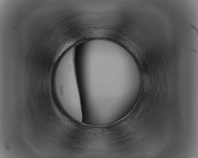 X0000092310482200709141034