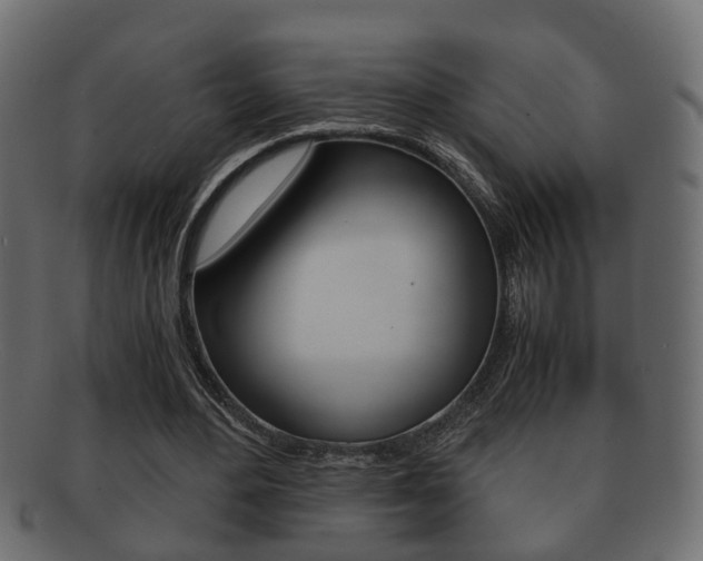 X0000092310484200709141034