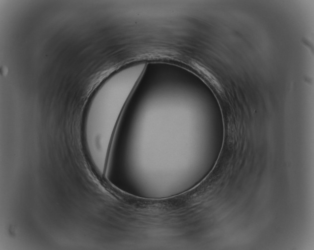 X0000092310485200709141034