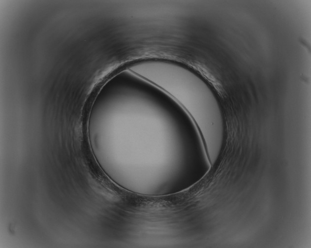 X0000092310488200709141034