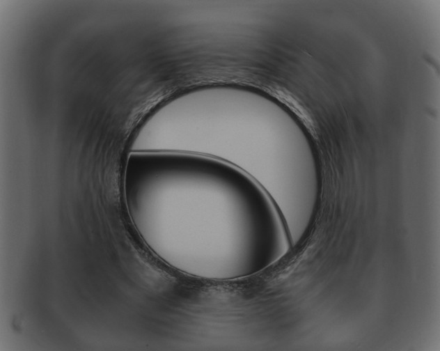 X0000092310489200709141034