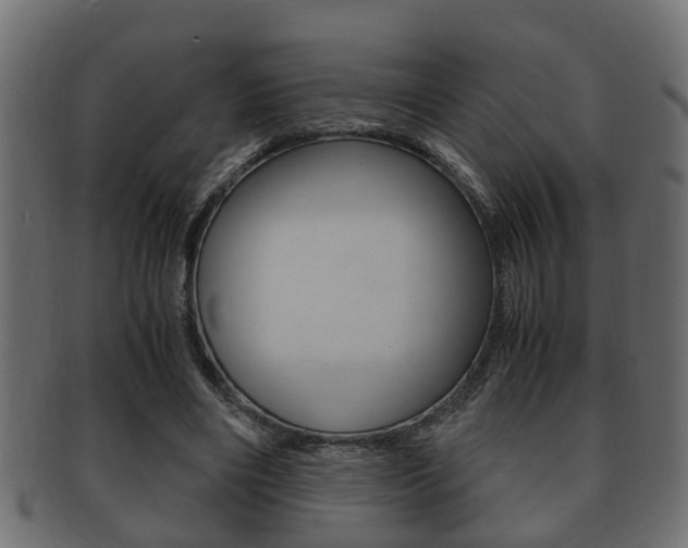 X0000092310490200709141034