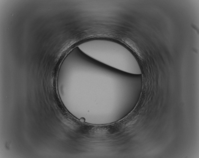 X0000092310491200709141034