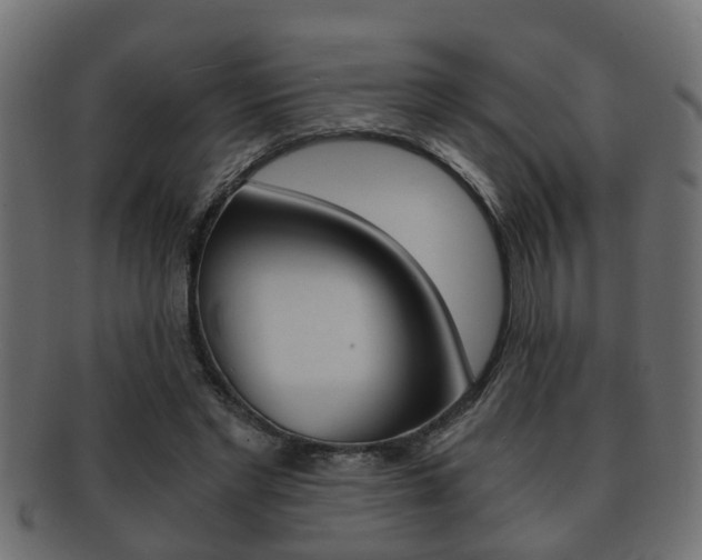 X0000092310493200709141034