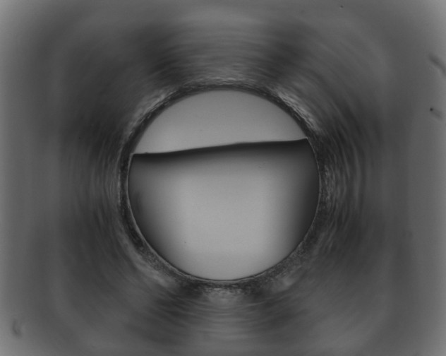 X0000092310494200709141034