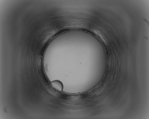 X0000092310495200709141034