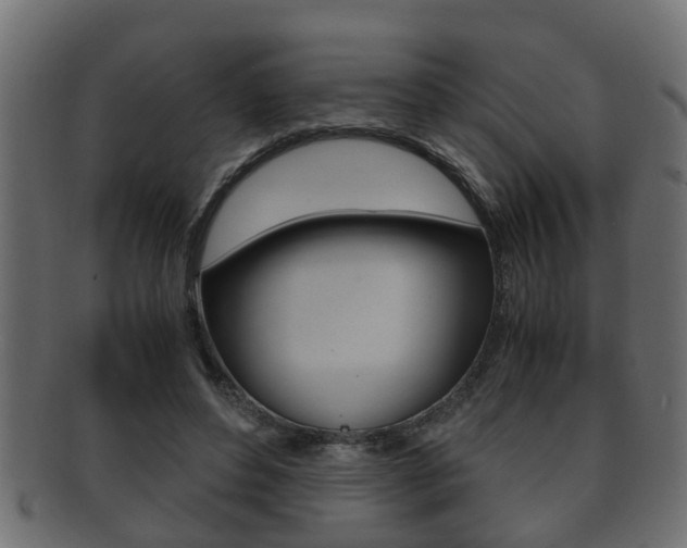 X0000092310496200709141034