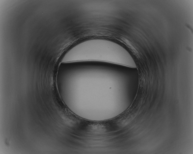 X0000092310500200709141034