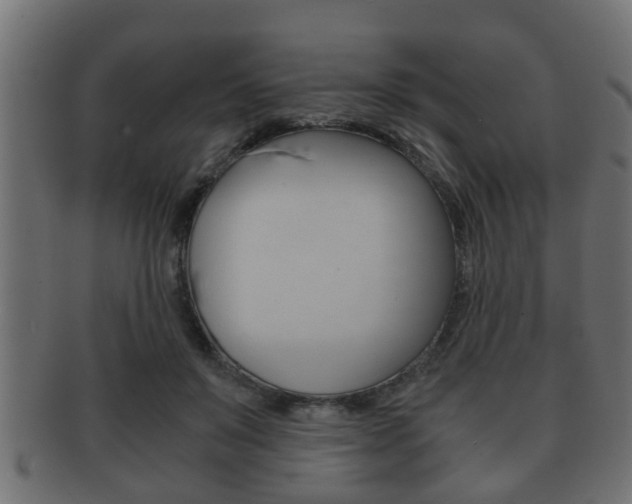 X0000092310503200709141034