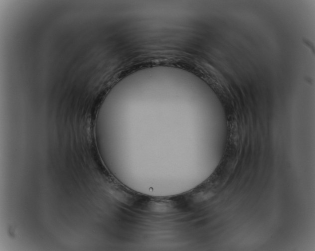 X0000092310510200709141034