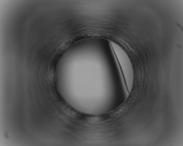 X0000092310513200709141033