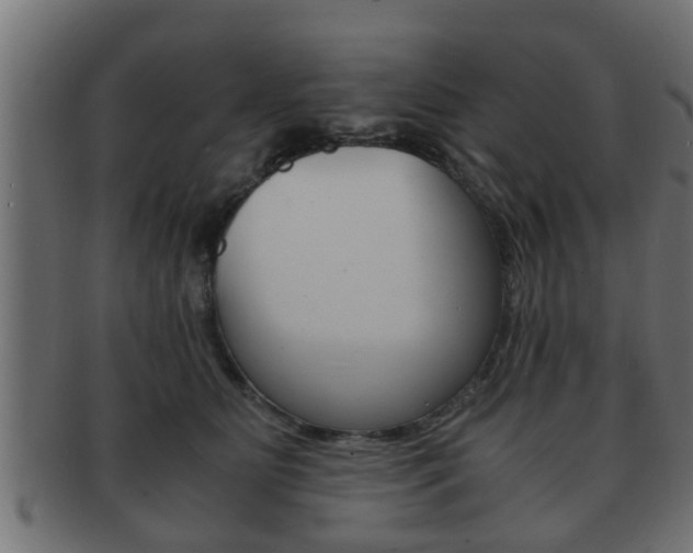 X0000092310515200709141033