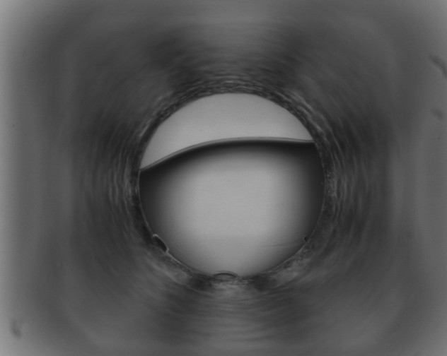 X0000092310516200709141033
