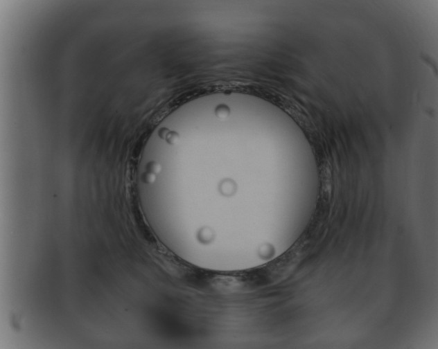 X0000092310519200709141033