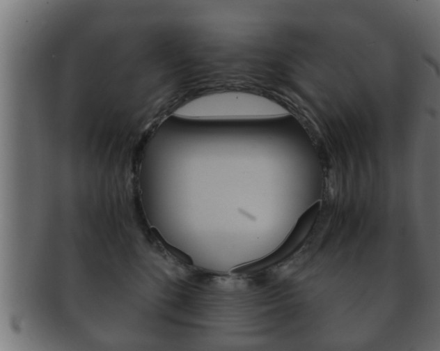 X0000092310520200709141033