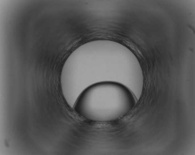 X0000092310521200709141033