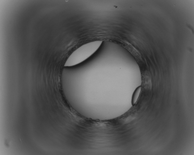 X0000092310523200709141033